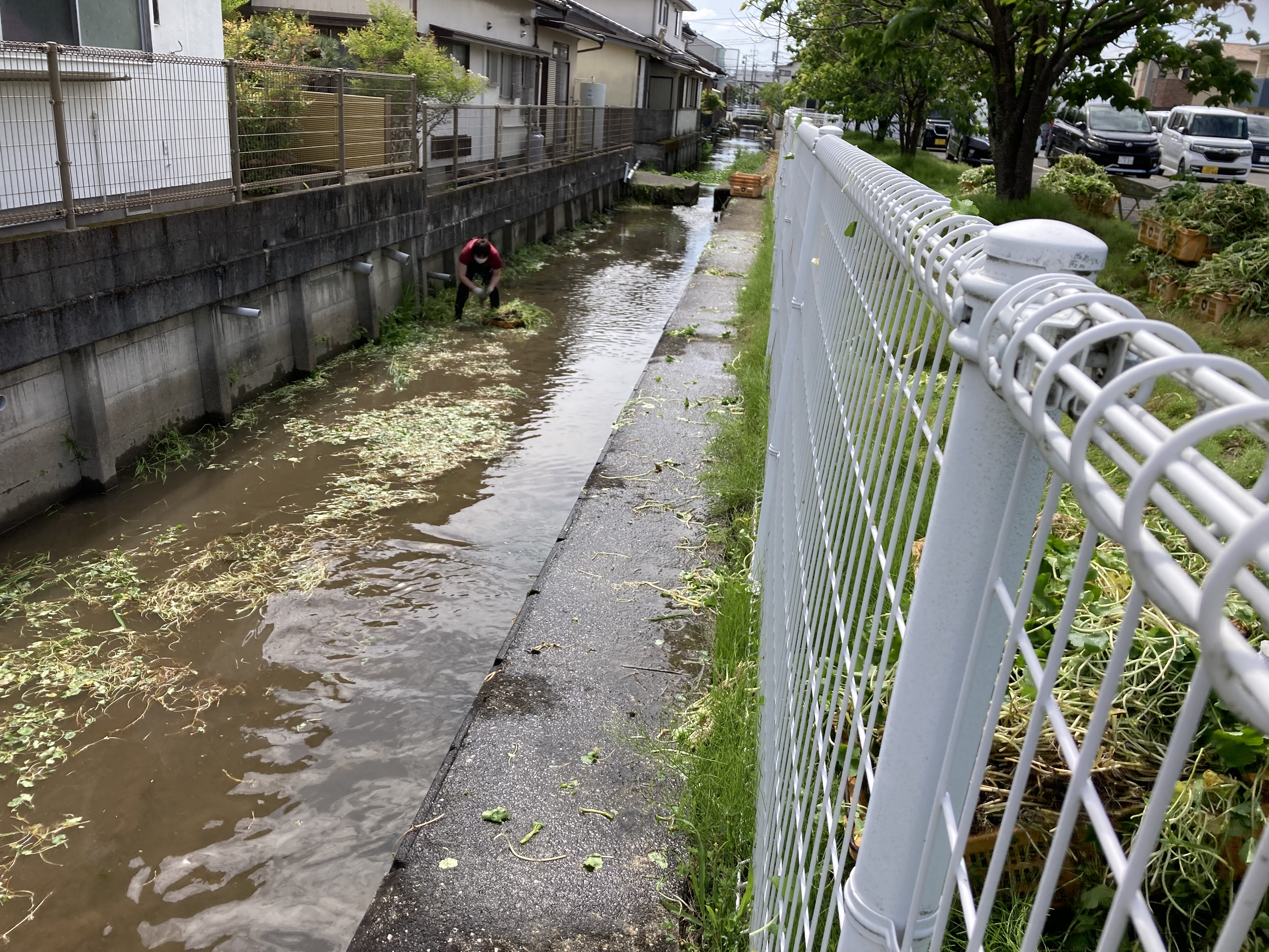 河川敷清掃作業(額縁付き) 河川清掃を行いました』 | ブログ | 社会福祉法人 晴寿会